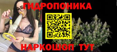 стаф Будённовск