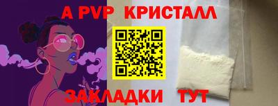 стаф Будённовск