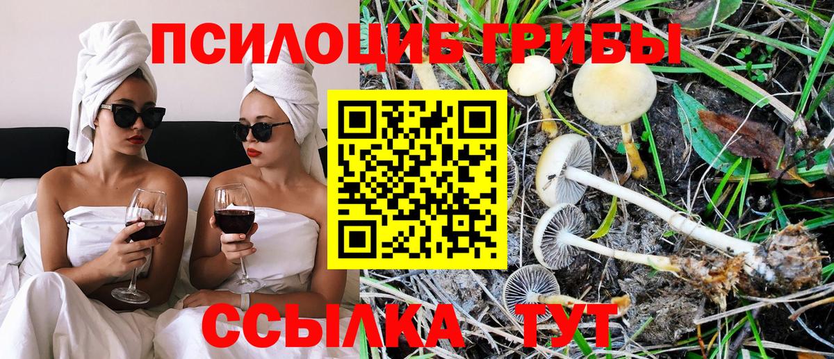 Галлюциногенные грибы Psilocybine cubensis Скопин